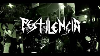 Pestilencia - Hiking Metal Punks (Darkthrone Cover)