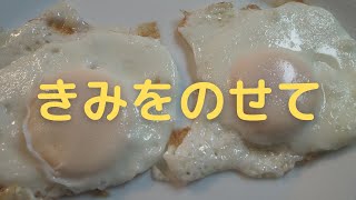 【歌ってみた】きみをのせて