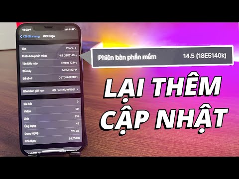 Cập nhật iOS 14.5 Beta 1 Version 2: Youtube Picture in Picture trở lại | Điện Thoại Vui TV