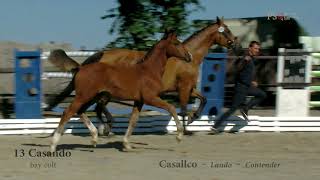 Video von SMA Caricello