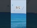 '파도~~부딪쳐서 깨어' 글에 포함된 동영상