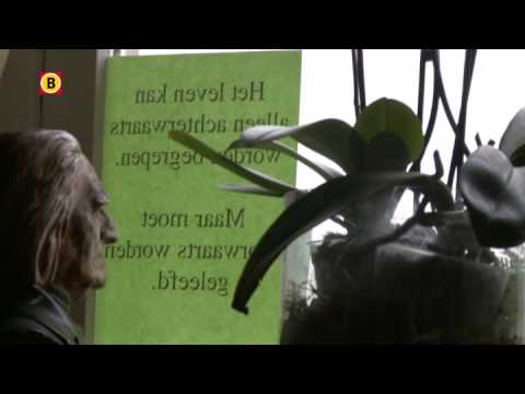 'Brabantse Loesje' Sophie Krale plaatselijke beroemdheid in Woudrichem