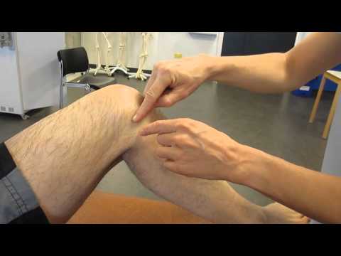 Fibula, Head, Palpation