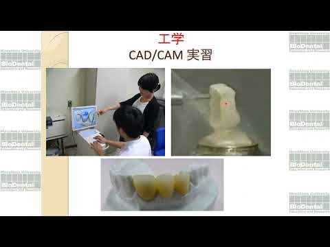 広島大学歯学部 口腔健康科学科 口腔工学専攻長 挨拶