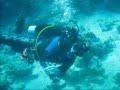 10.07.2012 Video und Diashow Sinai Divers Sharm el Sheikh, Sinai Divers, Na'ama Bay, Sharm el Sheikh, Ägypten, Sinai-Süd bis Nabq