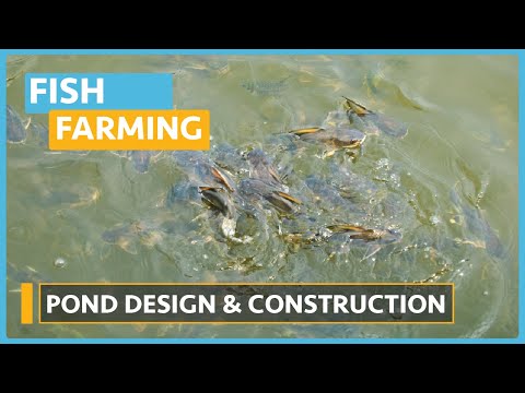 Fish Farming courses Lesson 1 Meet the Instructor