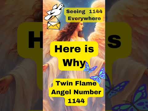 Twin Flame Angel Number 1144 Union ReUnion #shorts