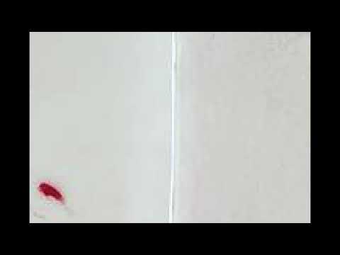 Bobby Kensei - Nawili