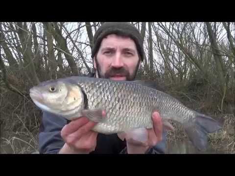 Flood water fishing March 14th2018