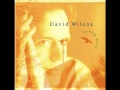David Wilcox - Turning Point - Tattered Old Kite