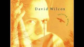 David Wilcox - Turning Point - Tattered Old Kite