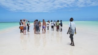 KENYA (Watamu/Malindi/Safari): come, dove, quando e quanto!