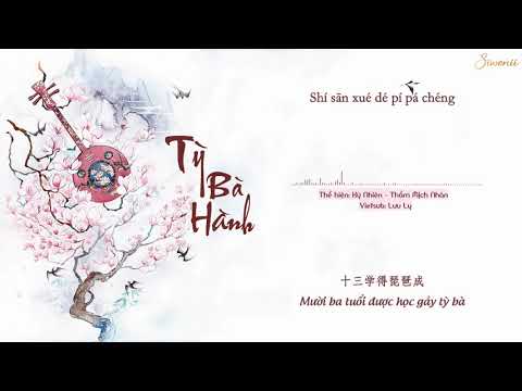 ♪ [Vietsub + Kara] Tỳ Bà Hành - 琵琶行 | Tik Tok