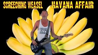 Havana Affair - Screeching Weasel, free style bass cover