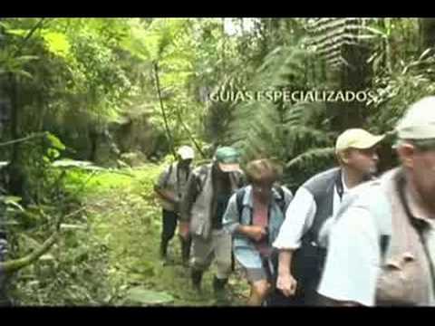 Imágenes fascinantes de la reserva Reinita Cielo Azul