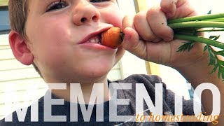 A MEMENTO To Homesteading