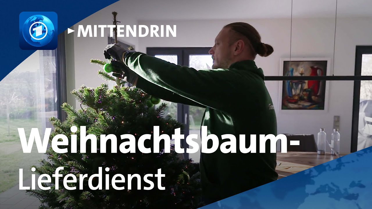 Hamburg: All inclusive Weihnachtsbaum | tagesthemen mittendrin