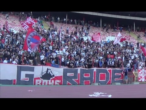 Delije - NOVA PESMA | Stani, stani, kukavice, da ti jednom vidim lice...