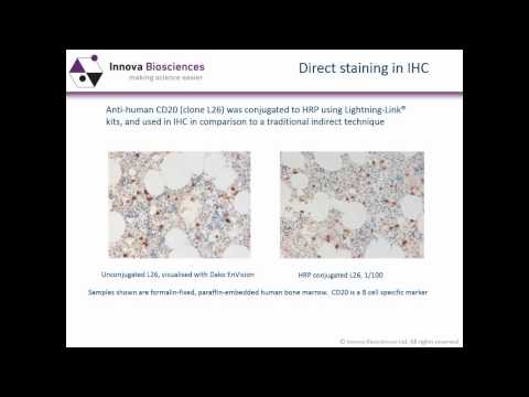 Immunohistochemistry Webinar: An Introduction to Immunohistochemistry