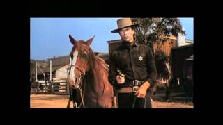 Hang Em High Movie