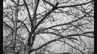 NIGHT'S SORROW  - AA