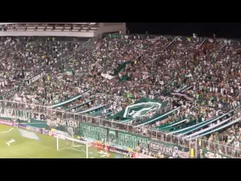 "Deportivo Cali vs Bucaramanga Cuartos de Final Liga Aguila II" Barra: Frente Radical Verdiblanco • Club: Deportivo Cali