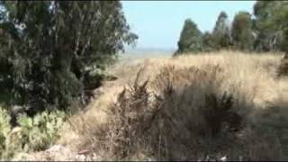 Trilogía del Conquero 1/3.- Mayte Martín : "Conquero". Fandangos.