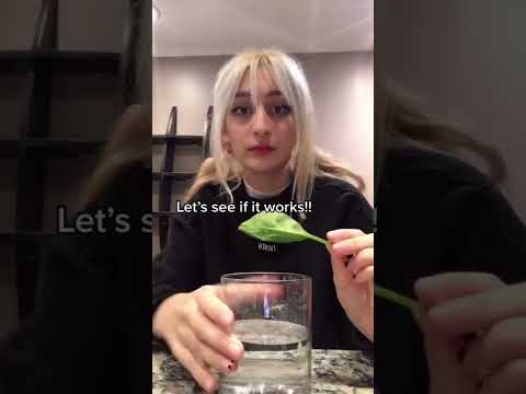 Trying anime powers in real life 😳