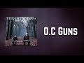 The Offspring - O.C. Guns (Lyrics)