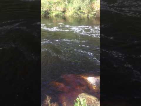download lagu mp3 mp4 Malt Water, download lagu Malt Water gratis, unduh video klip Malt Water