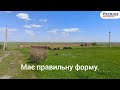 Видео превью
