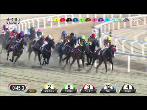 Ttukseom Cup 2014 - Gamdonguibada