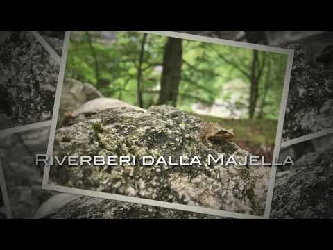 Marco Moresco, Riverberi dalla Majella per Clarinetto, Violino, Violoncello e Pianoforte (2000)