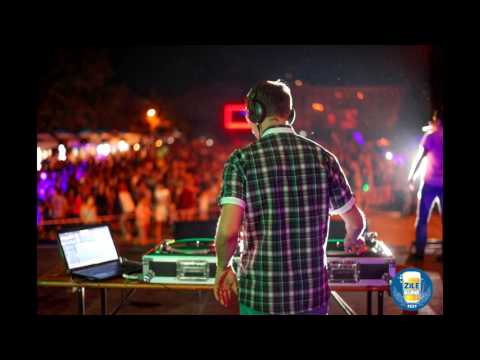 AEF Plaiesii & N  Gribincea   La omul care mi i drag DJ ZMC Official Remix