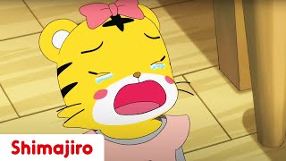 Loosing Hannah's Favorite Stone | Family | Brother & Sister  | Kids videos for kids | Shimajiro