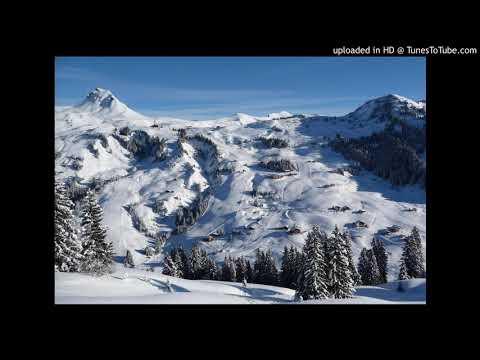 The Joker - Wow (Frank J's Mix)    (from: Technics DJ Set Volume One)