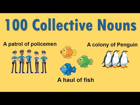 100 Collective Nouns List for Animals, Things and Persons with PDF