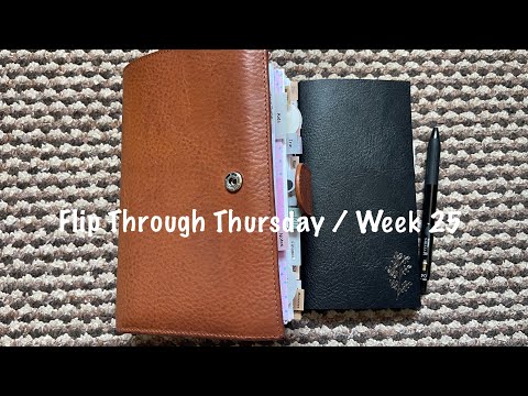 Flip Through Thursday / Week 25 - Gillio and Freely Noted // Pink Planner Girl