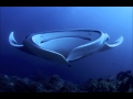 Dubble-D - Big Fish