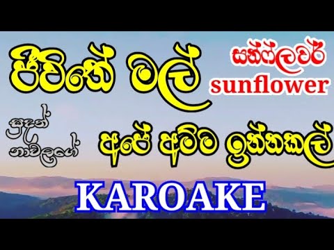 Jeewithe Mal Ape Amma Karoake | ජීවිතේ මල් | Karoke | Jivithe Mal | Sunflower | Sudath Nawalage