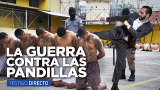 BUKELE VS PANDILLAS: TORTURA PARA LOS PANDILLEROS MARAS | PRESIDENTE DEL SALVADOR - Testigo Directo