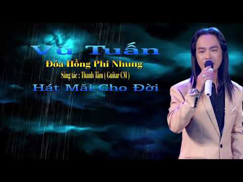 Đóa hồng Phi Nhung Sheet - Vũ Tuấn