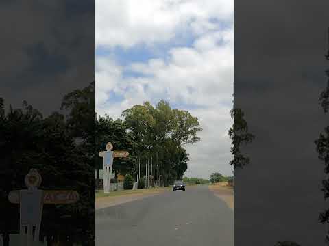 Un minuto en la Laguna de Chascomús 🌊🌿