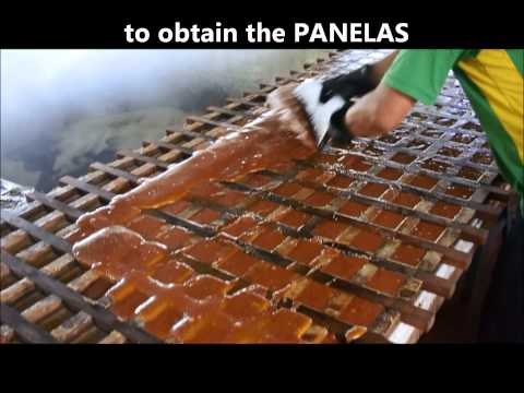 The Panela & the secret of Colombian cyclists