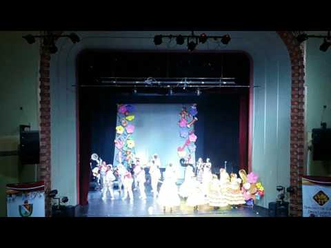 SON BAREKE COLOMBIA IBAGUE TOLIMA MEJOR GRUPO DEL TOLIMA 2017