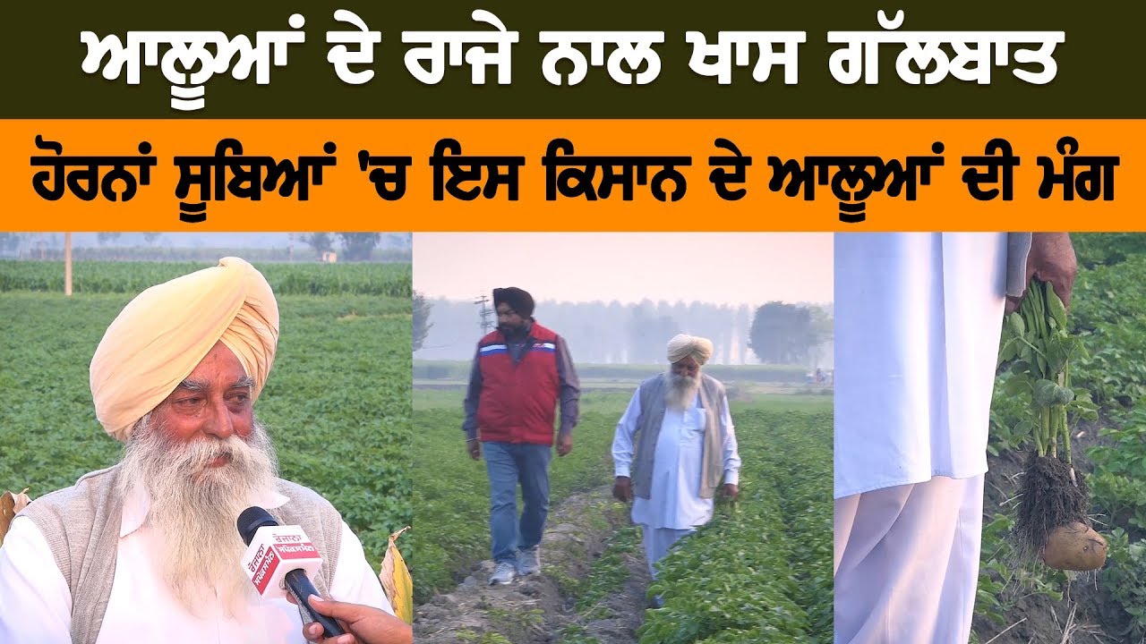 ਆਲੂਆਂ ਦੇ ਰਾਜੇ ਨਾਲ ਖਾਸ ਗੱਲਬਾਤ ਆਲੂਆਂ ਦੇ ਰਾਜੇ ਨਾਲ ਖਾਸ ਗੱਲਬਾਤ