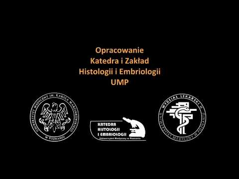 Kapus Maska do włosów z opinii bambusa Niektóre kompleksy witaminowe lepiej z wypadaniem włosów
