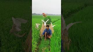 Download lagu Cara baroe untuk ta drop buck# mp3