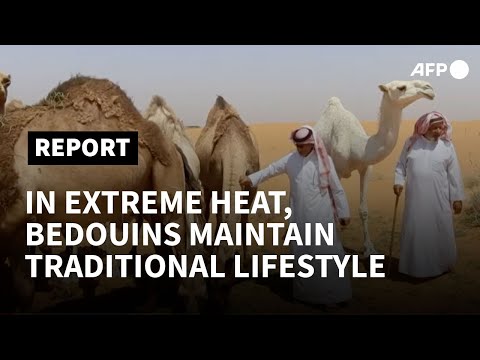 Saudi Bedouins maintain traditional lifestyle in extreme heat | AFP