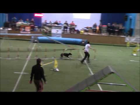 Say - FINAL, Silesian Open 2015